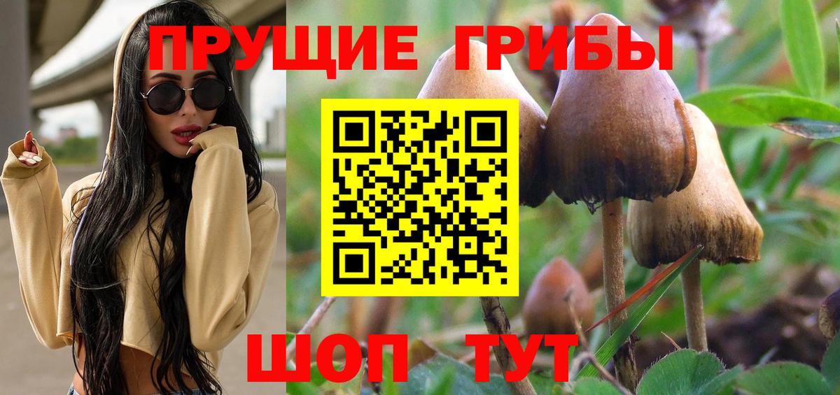 Псилоцибиновые грибы Psilocybine cubensis  Галлюциногенные грибы мицелий  Вход с VPN  наркошоп  Мирный 
